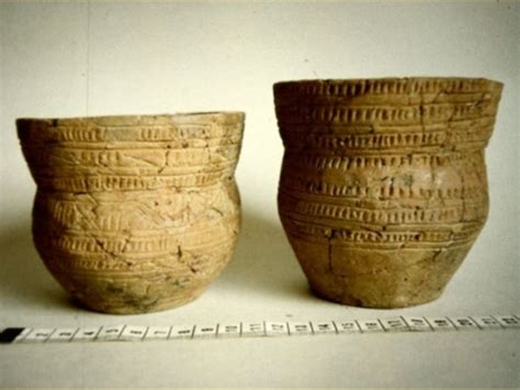 Archeologische vondst van Moche aardewerk met een afbeelding van een vos.