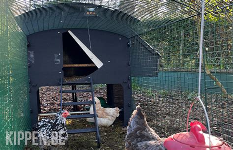 Middeleeuwse kerkkunst met vossen die prediken tegen ganzen.