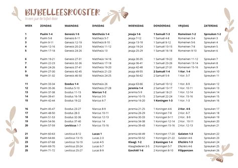 Een overzichtelijk Bijbelleesrooster