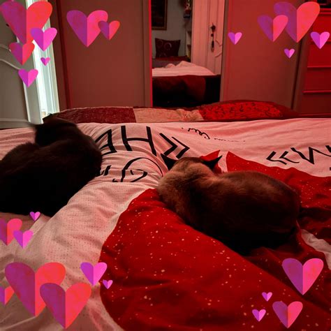 Portretfoto van D'Angelo in zijn jonge jaren, met nadruk op zijn iconische stijl.