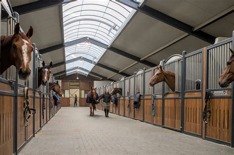 Schematische weergave van de risico's van modderige stallen voor paarden (hoefziekten, huidziekten)