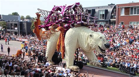 Een kleurrijke bloemenwagen van het Bloemencorso Zundert, klaar voor een demonstratie.