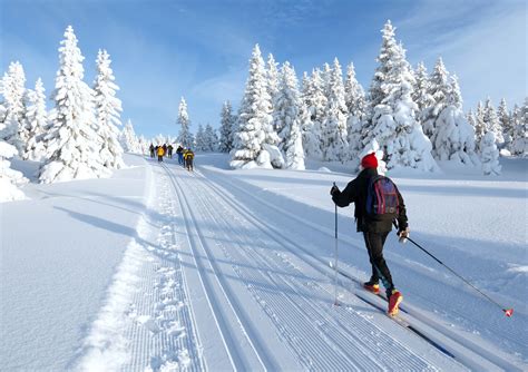 Langlaufers op een geprepareerde loipe in een winterlandschap