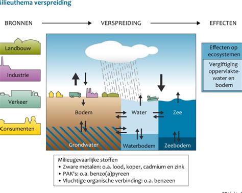 Schematische weergave van de schadelijke stoffen in vape-damp en hun effecten op het lichaam.