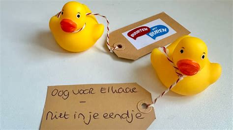 Illustratie van badeendjes die symbool staan voor de inzamelingsactie.