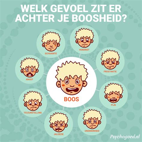 Infographic die de verschillende emoties en gevolgen van een scheiding voor kinderen toont, zoals boosheid, verdriet, eenzaamheid, angst en soms opluchting.
