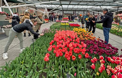 Foto van een kleurrijke bloemententoonstelling bij Keukenhof.