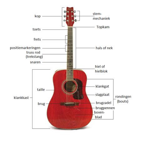 Illustratie van een Telecaster gitaar met uitleg over de klankmogelijkheden