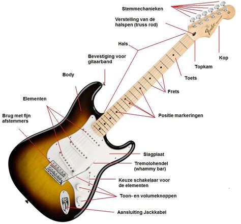 Schema van een Stratocaster gitaar met de belangrijkste onderdelen