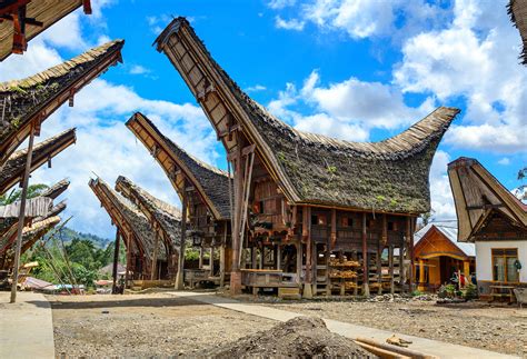 Traditionele Toraja-huizen (Tongkonans) met karakteristieke bootvormige daken en buffelhoorns.