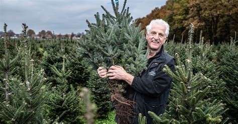Bernie Lomax, de vriendelijke kerstboomkweker, die de familie George verwelkomt.