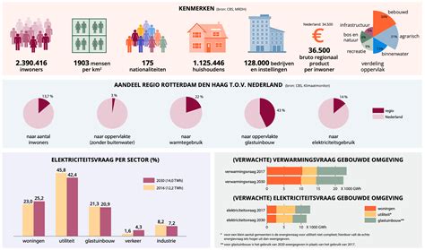 Infographic die de belangrijkste kenmerken en voordelen van verschillende DVD naar MP4 converters vergelijkt.
