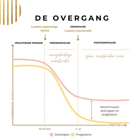 schema dat de overgang van DVB-T naar alternatieve kijkmethoden illustreert