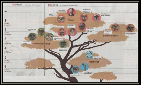 Schematische weergave van de evolutie van het programma Echte Meisjes in de Jungle, met vermelding van de verschillende titels, zenders en jaren.