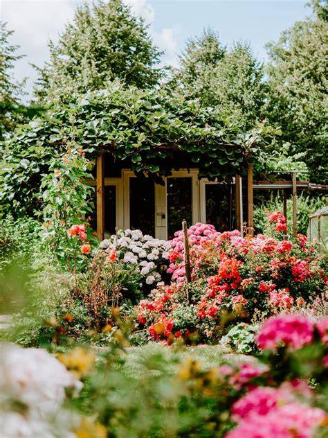 Foto van een tuin met stokken die klaarstaan voor ondersteuning van dahlia's