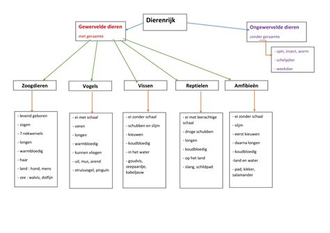 Schema van de verschillende 