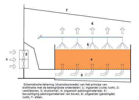 Schematische weergave van de inhoud van een MP4-container.