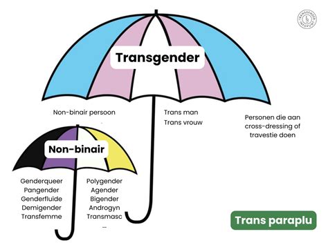 Infographic die de diversiteit van genderidentiteiten illustreert, inclusief cisgender, transgender, non-binair en genderfluïde.