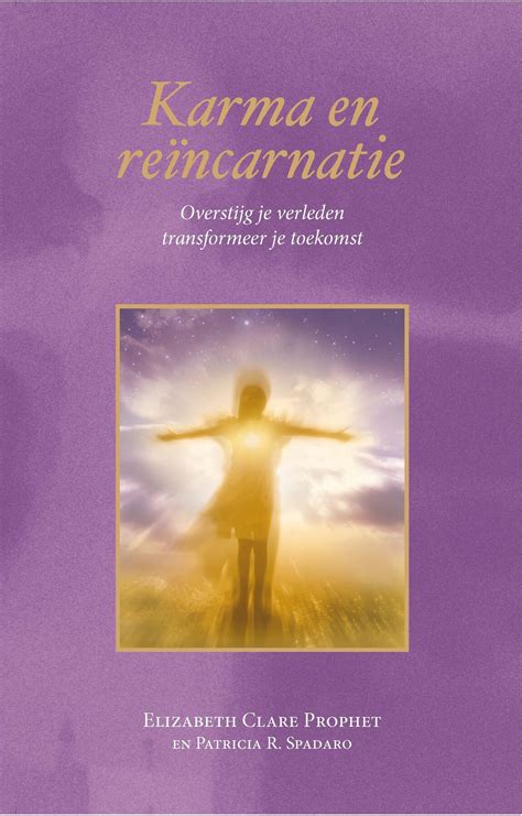 Infographic die de principes van karma en reïncarnatie uitlegt