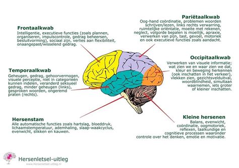 Infographic met de verschillende Proton-diensten en hun functies