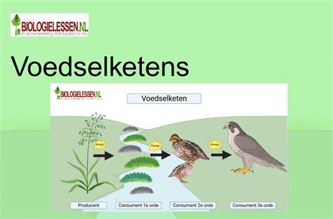 infographic die de voedselketen van vampiers in de moderne tijd toont