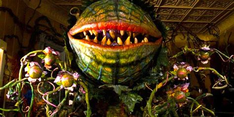 Een illustratie van de pratende plant Audrey II uit Little Shop of Horrors, met zijn kenmerkende tanden.