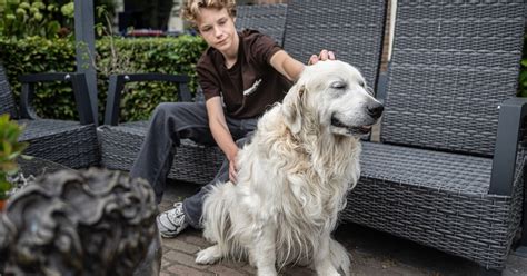Illustratie van de Franse Alpen met Sebastiaan en zijn hond Belle