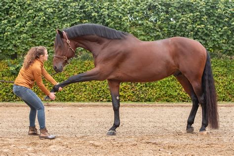 Afbeelding van Sisi te paard, een belangrijke scène uit de serie.
