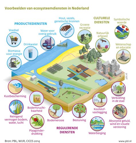 Schema dat de verschillende categorieën van ecosysteemdiensten (producerende, regulerende, culturele) en hun relatie tot menselijke welvaart en welzijn weergeeft.