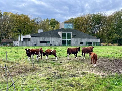 Scene van een boerderij in Twente