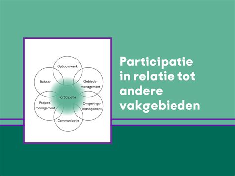 Schema van de MPEG-standaard en zijn relatie tot andere videoformaten