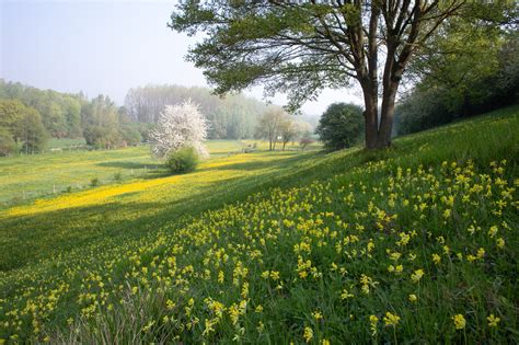 Illustratie van een zonnig Spaans landschap met een mix van traditionele architectuur en moderne gebouwen, die de aantrekkingskracht van Spanje voor expats weergeeft.
