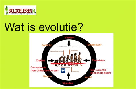 Infographic over de evolutie van Coaxkabelwinkel van hulp bij computerproblemen tot specialist in coaxnetwerken.