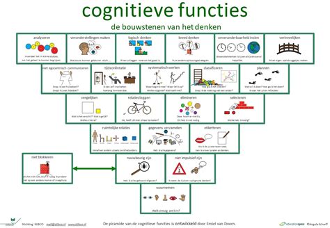Schema van cognitieve functies die getest worden tijdens een NPO.