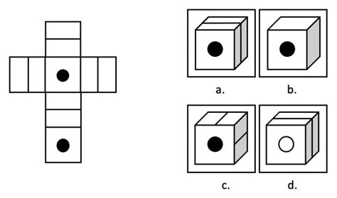 Voorbeeld van een puzzelachtige test die gebruikt kan worden om ruimtelijk inzicht te meten.