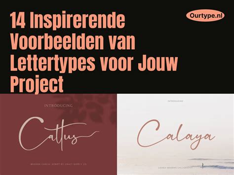 Infographic met de 5 aanbevolen lettertypen voor ondertitels, met voorbeelden van hun uiterlijk.