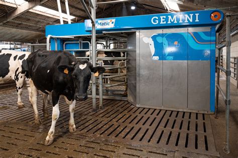 Illustratie van een melkrobot in een stal