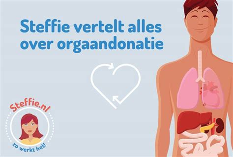 infographic met statistieken over orgaandonatie en het aantal donorformulieren na De Grote Donorshow