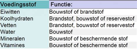 Schema van de functies van de
