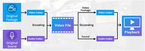 Schema dat de relatie tussen videoformaat, codec en mediaspeler uitlegt