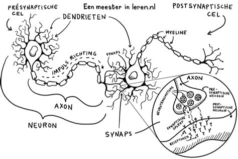 Schema van een digitale signaaloverdracht met foutcorrectie
