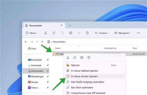 Screenshot van het venster 