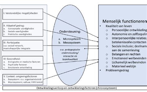 Infographic met de belangrijkste voorwaarden en beperkingen voor levensverzekeringen bij uitzending van militairen.