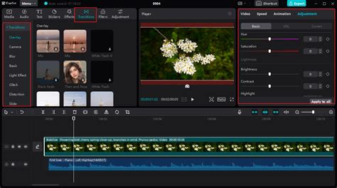 Screenshot van de interface van een desktop video-editor die compressie-instellingen toont.