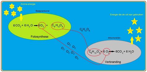 Schematische weergave van de vergelijking van Drake