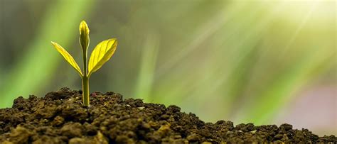 Een collage van scènes die de verschillende carrièrepaden en persoonlijke groei van de personages in seizoen 3 weergeven.