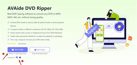 Screenshot van AVAide DVD Ripper met de optie 