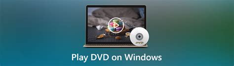 Schermafbeelding van het Windows DVD Player-venster.
