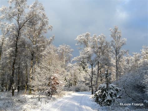 De besneeuwde landschappen van de Veluwe tijdens de winter van 1944/1945