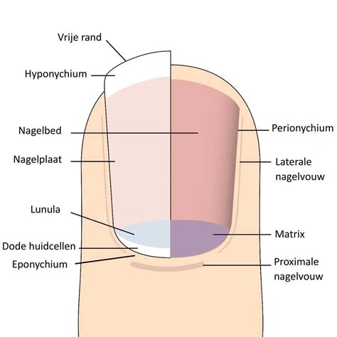 3D-model van de opbouw van de kusthulpverleningsvoertuigen (KHV)
